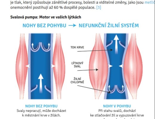 zkouska